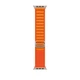 Нейлоновый ремешок Fruct Alpine Loop for Apple Watch 42/44/45/46/49 mm Orange - изображение 2