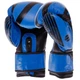 Рукавички боксерські шкіряні RUSH UCF Pro Top (розмір 12oz, Синій) - изображение 2