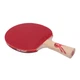 Ракетка DHS Gold Medal Ma Long 03 (carbon blade) - изображение 5