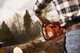 Бензопила Husqvarna 435 II (9705597-35) - изображение 4