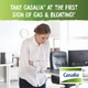 Натуральная добавка Boiron Gasalia 60 таблеток (4384304755) - изображение 4