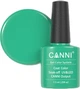 Гель-лак Canni 078 світло-смарагдовий 7.3 мл (ROZ6400212971) - зображення 1