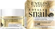Krem do twarzy Eveline Royal Snail 70+ rewitalizujący 50 ml (5901761980998) - obraz 1