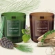 Свеча ароматическая с деревянным фитилем "Cedarwood" - изображение 2
