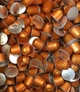 Кофе в капсулах Nespresso Linizio lungo - изображение 3