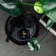 Аромадиффузор Erla Home Ritha Pure Air чистый воздух 100 мл (5906534019967) - изображение 5