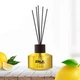 Dyfuzor z pałeczkami zapachowymi Erla Home Sato Summer Time  50 ml (5906534019493) - obraz 5