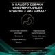 Сухой корм для собак Purina Pro Plan Veterinary Diets EN Gastrointestinal при расстройстве пищеварения 1.5 кг (7613287587800) - изображение 6