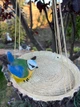 Садова годівниця ДомФігурок Пташка на сосновому зрізі - зображення 2