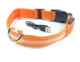 Нашийник для собак DogClub USB M (40-45 см), що світиться Orange - зображення 2