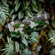 Портативна колонка BOROFONE BR13 Young sports BT speaker Camouflage Green (BR13CG) - изображение 3