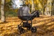Детская коляска 2 в 1 Angelina Discovery Evolution светло-серый DE-19 - изображение 1