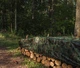Тент камуфляжний Bradas CAMOforest 90 гр/м² 2х3 м PLCF902/3 - зображення 5
