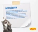 Сухий корм гіпоалергенний для котів з проблемами перетравлювання Josera Marinesse 10 кг (4032254749547)A - изображение 4
