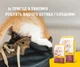 Сухой корм для кошек беременных и лактирующих кошек Josera Kitten 2 кг (4032254748977) - изображение 7