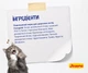 Сухой корм для котов с чувствительным пищеварением Josera DailyCat 10 кг (4032254749806) - изображение 4