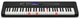 Синтезатор CASIO LK-S450C7 - изображение 2
