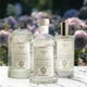Аромадифузор Logevy Firenze 1'000 ML Champagne e bacche di rosa (Шампанське & Рожеві ягоди) (LOG0236) - изображение 7