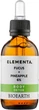 Сироватка для тіла "Фукус і ананас 6%" - Bioearth Elementa Fucus Pibeapple 6% 50ml (954761-31099121) - зображення 1