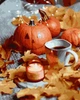 Картина по номерам «Осенний красивий натюрморт» GX44620 40х50 | Brushme - изображение 1