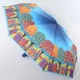 Зонт женский AIRTON (#3916 - 4018) - изображение 1