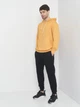Худи утепленное мужское ROZA 211073 2XL Горчичное (4824005660764) - изображение 3