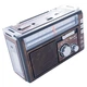 Радіоприймання портативної Golon RX-382 MP3 USB, коричневий - изображение 2