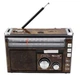 Радіоприймання портативної Golon RX-382 MP3 USB, коричневий - изображение 5