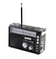 Аккумуляторный Радиоприемник Golon RX-382 Bluetooth Черный - изображение 1