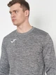 Свитшот мужской Joma Cairo Ii 101333.150 L Серый (9998420145115) - изображение 4