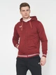Спортивная кофта мужская Joma Campus Iii 101590.671 M Бордовая (8424309044909) - изображение 1