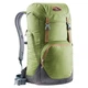 Рюкзак Deuter Walker 24 л 3810717 2443 - зображення 1