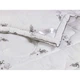 Ковдра Руно 140х105 см 320.52_Silver Swan_demi - зображення 5