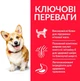Сухий корм для собак Hill's Science Plan Adult Small & Mini Chicken з куркою 3 кг (052742282206) - зображення 3