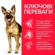 Сухой корм для зрелых собак Hill's Science Plan Mature Adult Large 6+ с курицей 14 кг (052742025926) - изображение 3