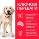 Сухий корм Hill's Science Plan Adult Large Light Chicken для дорослих собак великих/гігантських порід cхильних до зайвої ваги з Куркою 14 кг (052742025902) - зображення 2