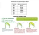 Зимние сапоги для девочек PALIAMENT 2040-20/32 Черный 32 - изображение 6
