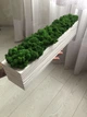 Деревяное брашырованое кашпо со стабилизированым мхом 50 см MiNature Moss - изображение 2