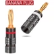 Штекери акустичні конектори типу Банан Banana Plug 4 мм Graphite (комплект 2 шт.) (48518) - зображення 1