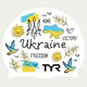 Шапочка для плавания TYR UA MULTI WHITE (CH0122MUA) - изображение 1