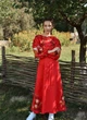 Плаття-вишиванка Vysyvanka "Птаха" 56 Червоне 4608 - зображення 1
