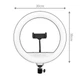 Селфи лампа и LED освещением Bluetooth 12" ZM300 170cm Stand USB Powered 3000-6500K - изображение 3