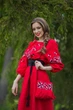Жіноче довга сукня-вишиванка з льону з рукавом три чверті Сучасні вишиванки XXS-XS Червоне (П16-261) - зображення 3