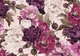 Пазлы трехслойные Interdruk Flovers 1 33х46 см 500 шт (5902277326027) - изображение 2