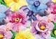 Пазлы трехслойные Interdruk Flovers 2 33х46 см 500 шт (5902277326034) - изображение 3