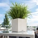 Умный вазон Lechuza Cube Cottage 30 12 л белый 15376 - изображение 7