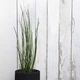Вазон Keter Cylinder Planter S 7 л сірий - зображення 4