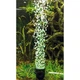 Распылитель с LED освещением Hobby Bubble Air Spot colour & moon (00677) - изображение 9