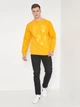 Свитшот мужской Armani Exchange 10979 2XL (52) Оранжевый - изображение 3