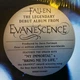 Вінілова платівка Universal Music Evanescence Fallen LP 0888072025097 - изображение 4